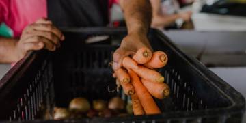 Acesso a mercados institucionais para a agricultura familiar é tema de capacitação 