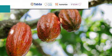 Iniciativa inovadora de financiamento mobiliza R$ 1 milhão para agricultura familiar no sul da Bahia