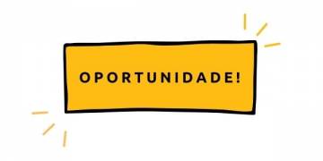 Termo de Referência: estudo da mercado para meliponicultura
