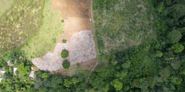 Tabôa inicia experiência piloto como parte da agenda de restauração florestal com inclusão produtiva
