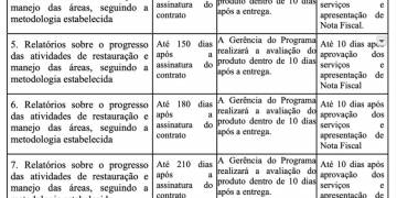 Termo de Referência: Contratação de Coordenador(a) de Restauração Florestal e do Projeto Juçara