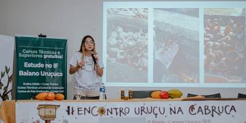 Pasto melitófilo | Plantar para as abelhas traz benefícios para todos 