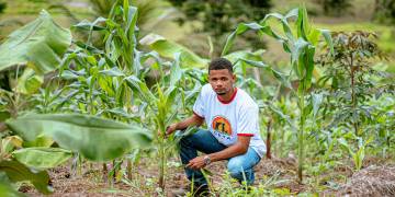 Regenerando a terra e cultivando sonhos: jovem agricultor aposta na restauração produtiva